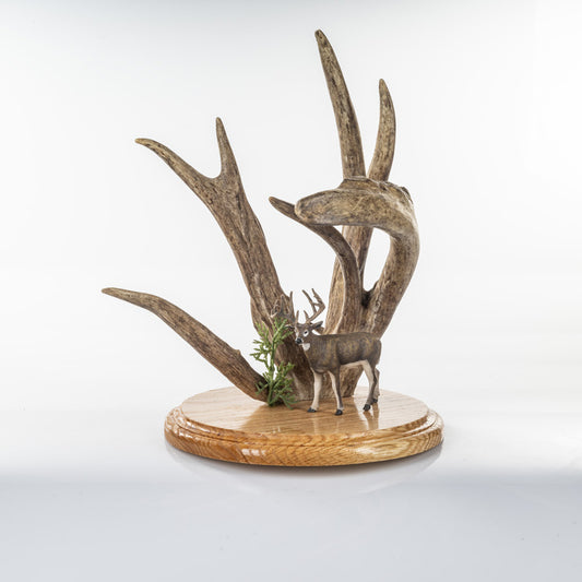 Very Unique Nontypical antler cut made into art with a little deer statue! (Auction #002)