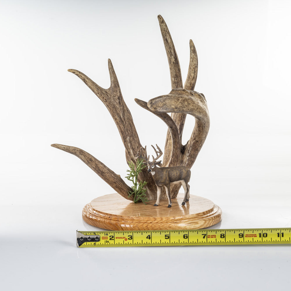 Very Unique Nontypical antler cut made into art with a little deer statue! (Auction #002)
