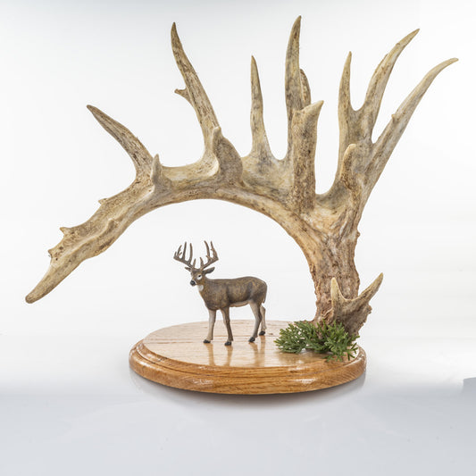 Huge Whitetail Cut Antler with little deer statue!  (Auction #005)