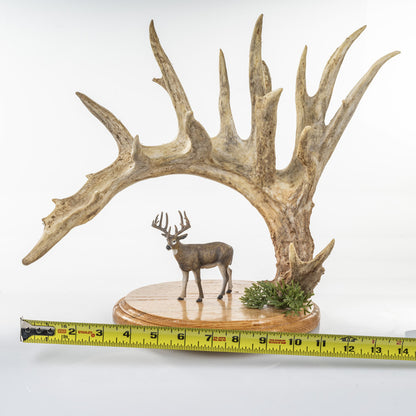 Huge Whitetail Cut Antler with little deer statue!  (Auction #005)