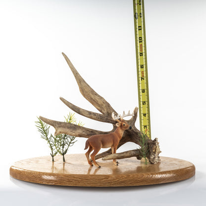 Whitetail Shed Antler mounted to a oak base with a miniature deer statue! (Auction #008)